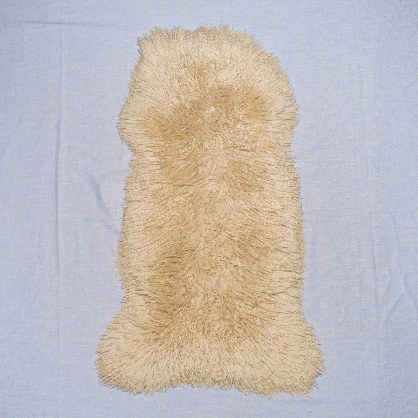 Sheep Skin